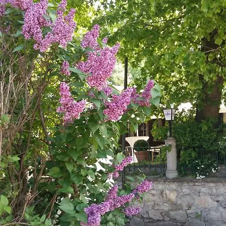 招待所 Manhalter Pitten