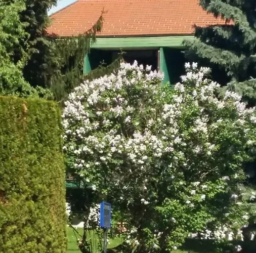 Manhalter Pensjonat Pitten